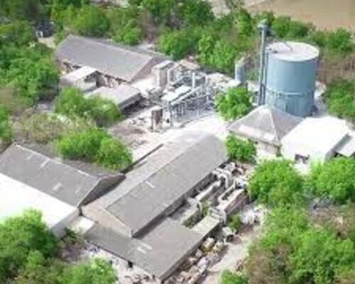 Amol Minechem Share Price